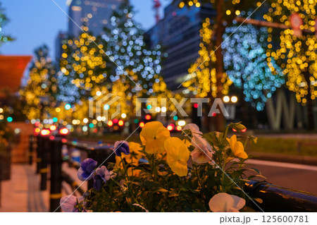 イルミネーションに輝く大阪御堂筋の夜 イルミネーションに輝く大阪御堂筋の夜 125600781