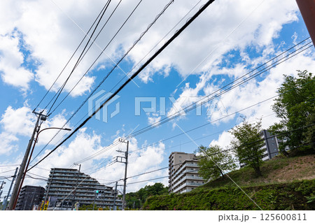 小山内裏公園とマンション　春の青空　東京都町田市小山ヶ丘 125600811