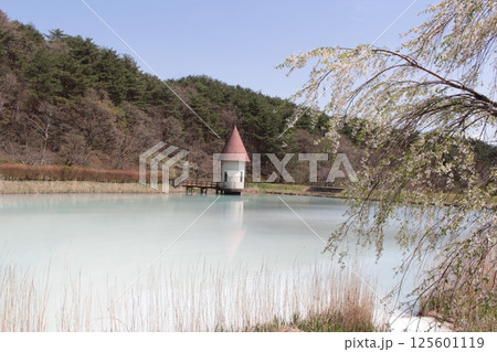 福島県岳温泉　ミルキーディの岳温泉が流れ込んだ乳白色の緑ヶ池 125601119