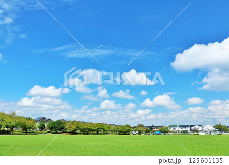 爽やかな夏の青空 新緑の公園風景 爽やかな夏の青空 新緑の公園風景 125601135