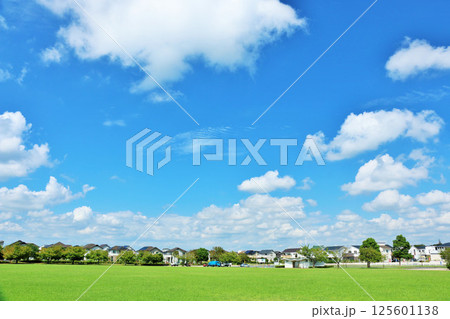 爽やかな夏の青空 新緑の公園風景 爽やかな夏の青空 新緑の公園風景 125601138