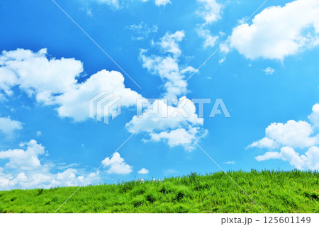 爽やかな夏の青空と新緑の草原風景 爽やかな夏の青空と新緑の草原風景 125601149