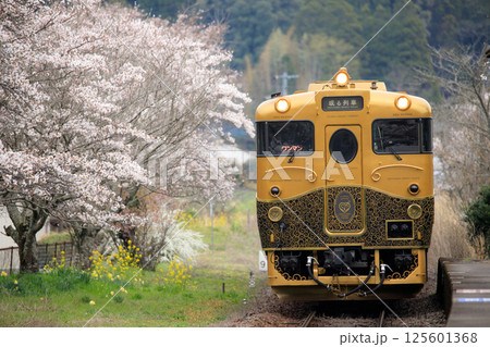 桜咲く北山田駅を通過する「或る列車」(JR九州) 桜咲く北山田駅を通過する「或る列車」(JR九州) 125601368