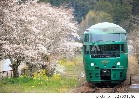 桜咲く北山田駅を通過する特急「ゆふいんの森」（JR九州） 125601386