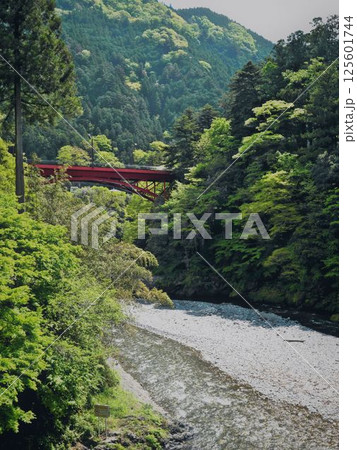 初夏の奥多摩の氷川渓谷 125601744