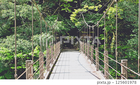 初夏の奥多摩の氷川渓谷にかかる氷川小橋 初夏の奥多摩の氷川渓谷にかかる氷川小橋 125601978