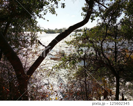 ビクトリアフォールズ　ジンバブエ　5 125602345