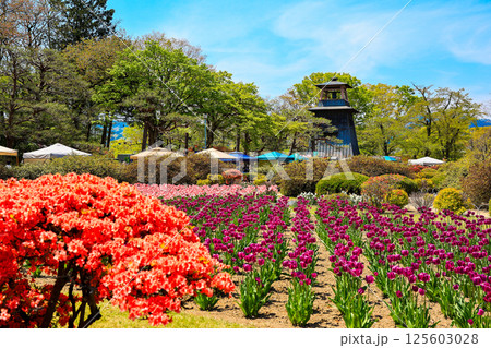 花咲く沼田公園 125603028