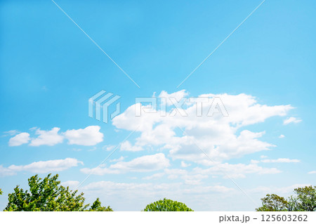 青空と雲と木立 125603262