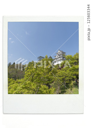 郡上城 ポラ風 郡上城 ポラ風 125603344