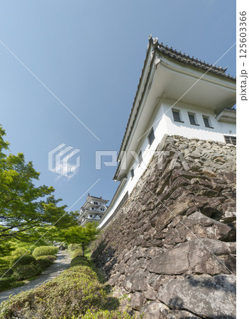 郡上城 郡上城 125603366