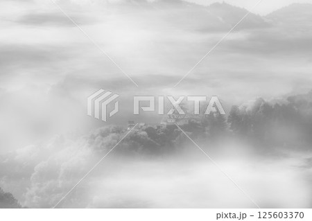 郡上城 郡上城 125603370