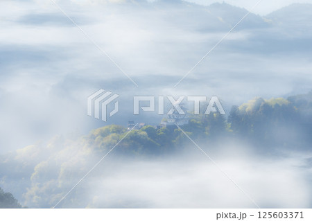 郡上城 郡上城 125603371