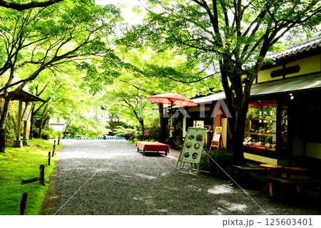 京都市　大原三千院御殿門前参道（大原女の小径）と新緑と茶店と野点傘 125603401