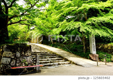 京都市　大原三千院御殿門前参道（大原女の小径）と新緑 125603402