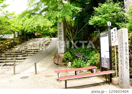 京都市　大原三千院御殿門前参道（大原女の小径）と新緑 125603404