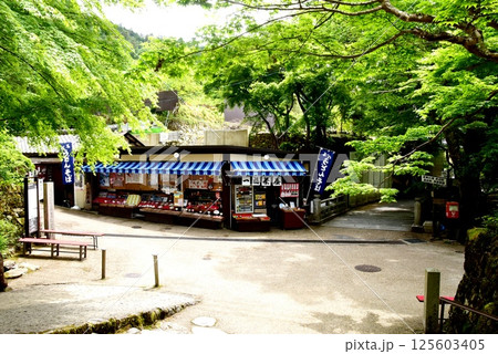 京都市　大原三千院御殿門前参道（大原女の小径）と新緑と一福茶屋 125603405