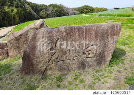 花の丘　石のモニュメント 125603514