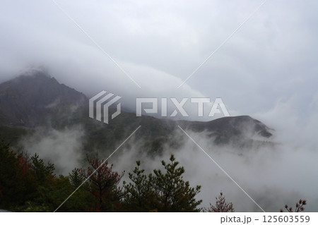 雲に覆われた山 桜島 雲に覆われた山 桜島 125603559