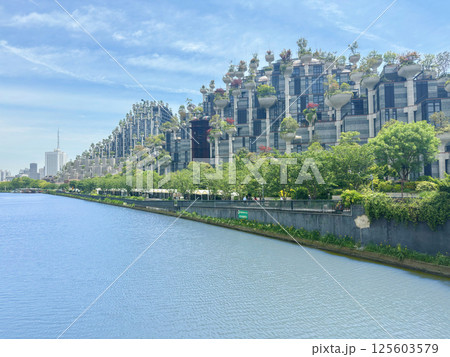 上海 シャンハイ 青空 125603579