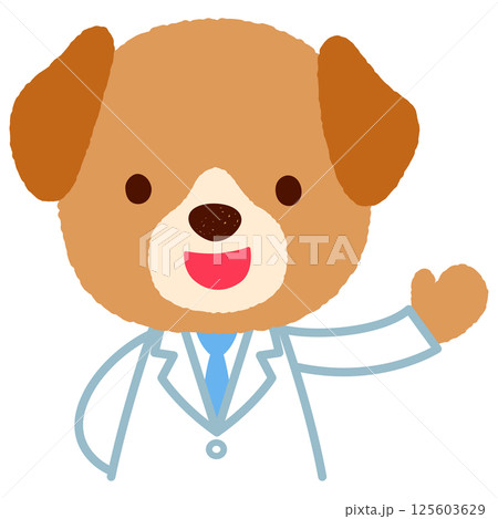 かわいいイヌのお医者さん 白衣を着たイヌ かわいいイヌのお医者さん 白衣を着たイヌ 125603629