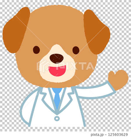 かわいいイヌのお医者さん 白衣を着たイヌ かわいいイヌのお医者さん 白衣を着たイヌ 125603629