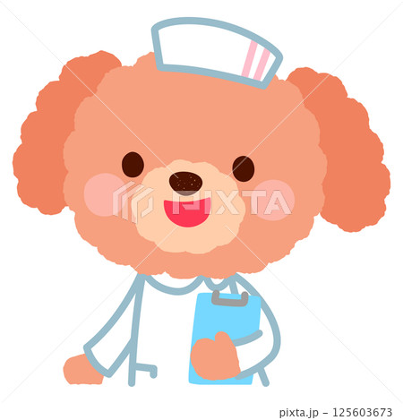 かわいいイヌの看護師さん お医者さん プードル かわいいイヌの看護師さん お医者さん プードル 125603673