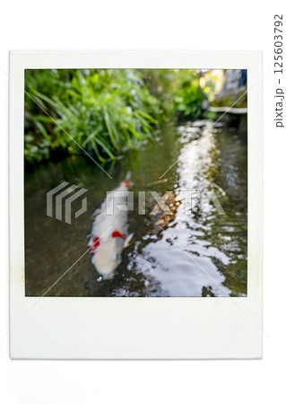 いがわ小径　いがわのこみち　郡上八幡  ポラ風 125603792