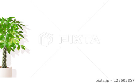 影付き・背景透過・左寄せのパキライラスト素材 125603857