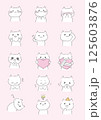 落描き調のゆる〜い猫のイラスト 125603876