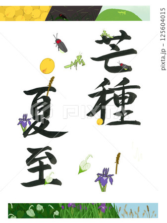二十四節気　芒種、夏至 125604015