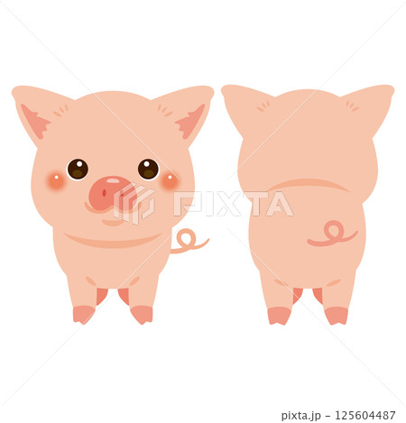 ブタの前後イラストセット ブタの前後イラストセット 125604487