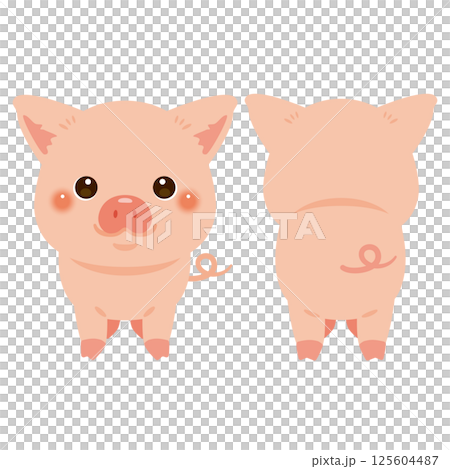ブタの前後イラストセット ブタの前後イラストセット 125604487