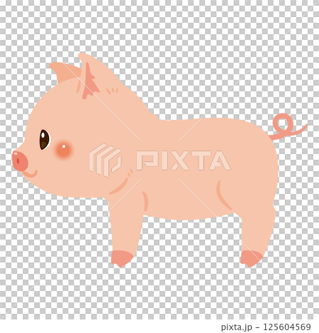 豬的側面插圖 125604569