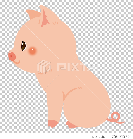 一隻坐著的豬的側面插圖 125604570