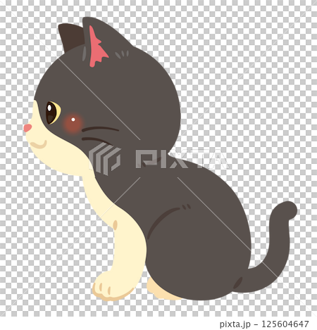 お座りした猫の横向きイラスト 125604647