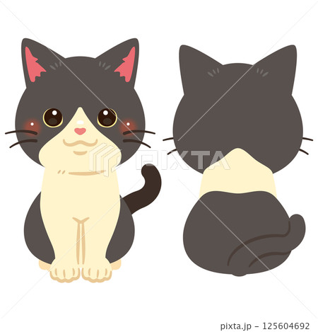 お座りした猫の前後イラストセット お座りした猫の前後イラストセット 125604692