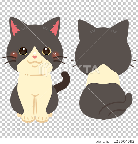 お座りした猫の前後イラストセット お座りした猫の前後イラストセット 125604692