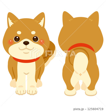 柴犬の前後イラストセット 125604719