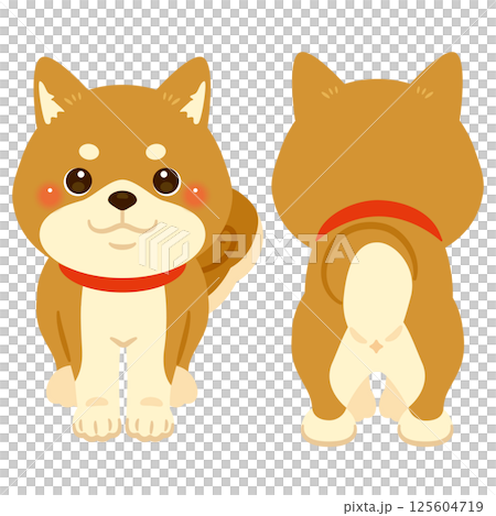 柴犬の前後イラストセット 125604719