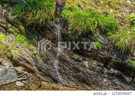 清滝川にそそぐ小さな滝　京都市右京区 125604887