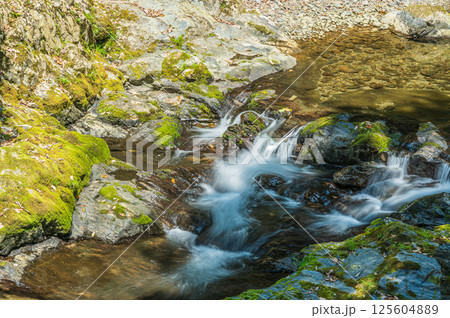 京都の清流　清滝川　京都市右京区 125604889
