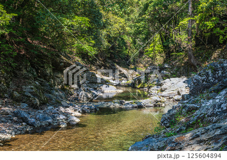 京都の清流　清滝川　京都市右京区 125604894