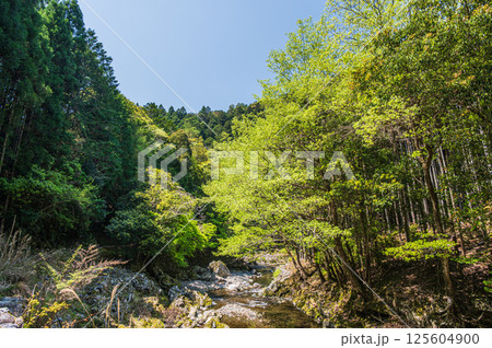 京都の清流　清滝川　京都市右京区 125604900