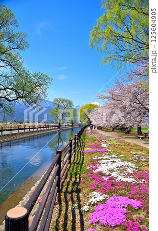 《長野県》春の安曇野市　拾ヶ堰・じてんしゃひろば 125604905