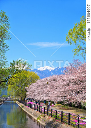 《長野県》春の安曇野市　拾ヶ堰・じてんしゃひろば 125604907