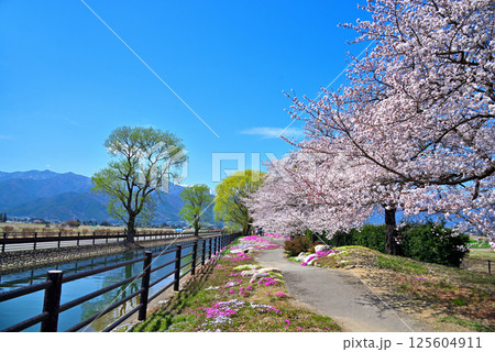 《長野県》春の安曇野市 拾ヶ堰・じてんしゃひろば 《長野県》春の安曇野市 拾ヶ堰・じてんしゃひろば 125604911