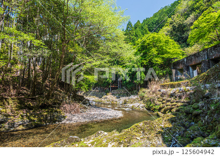 京都の清流 清滝川 京都市右京区 京都の清流 清滝川 京都市右京区 125604942