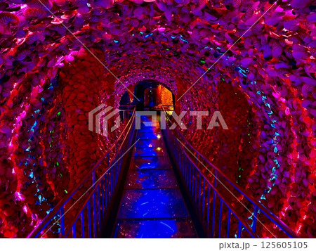 愛知県蒲郡市にある竹島ファンタジー館の時空のトンネルです 愛知県蒲郡市にある竹島ファンタジー館の時空のトンネルです 125605105