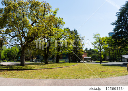 晴れの青空といしかわ四高記念公園|公園イメージ|石川県金沢市 晴れの青空といしかわ四高記念公園|公園イメージ|石川県金沢市 125605384